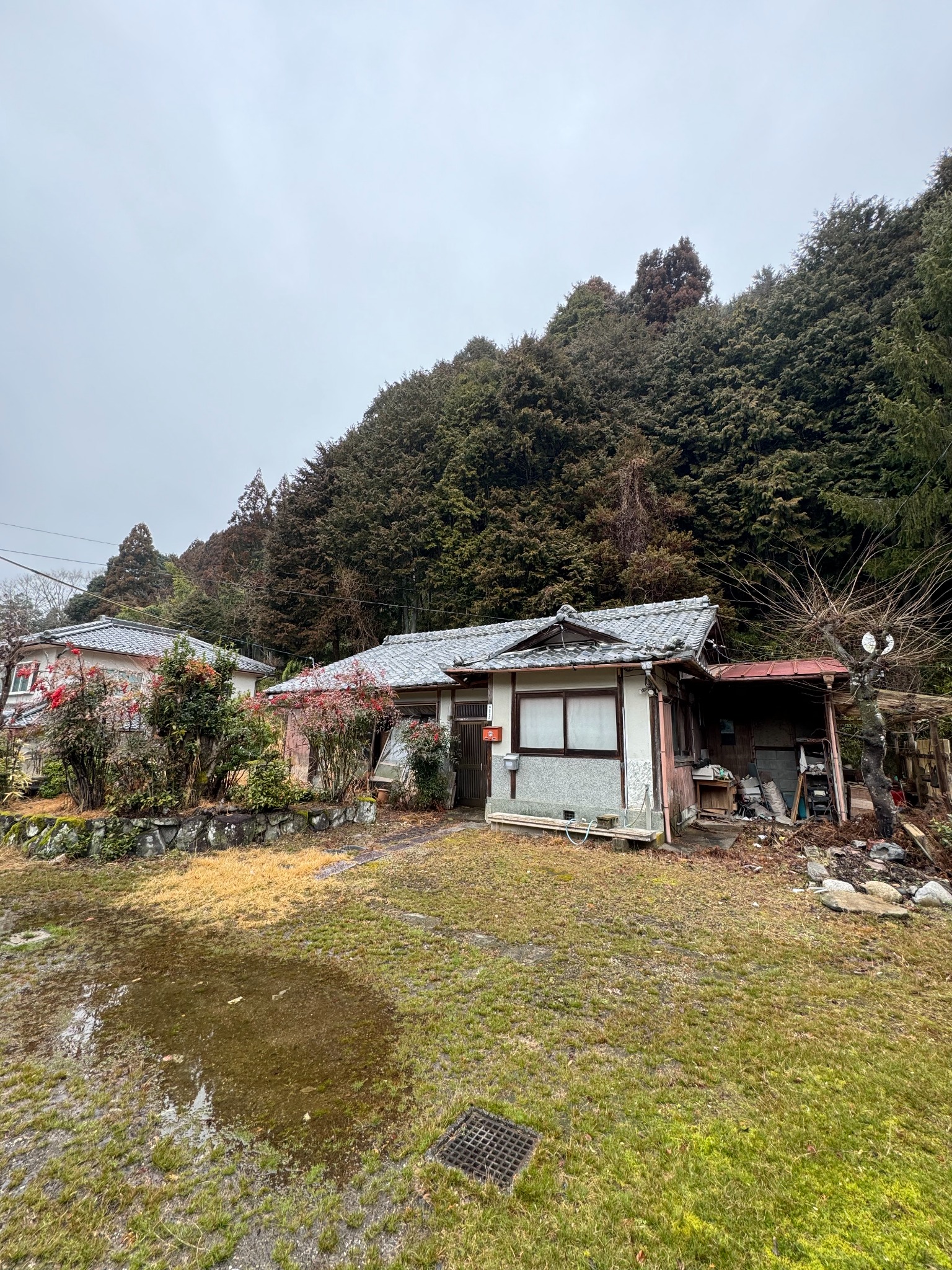 草木が伸びてしまった庭